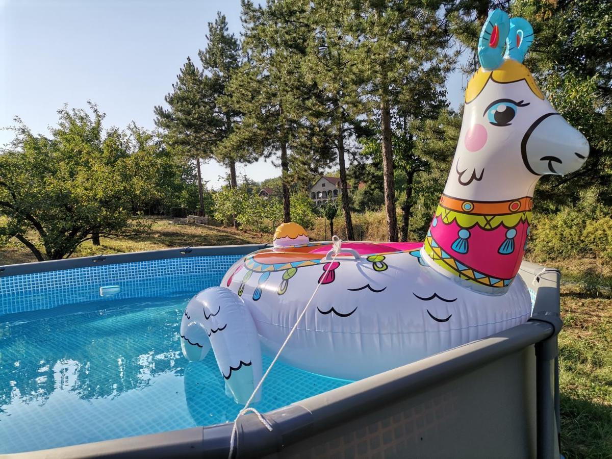 Villa Borsko Jezero Exterior foto